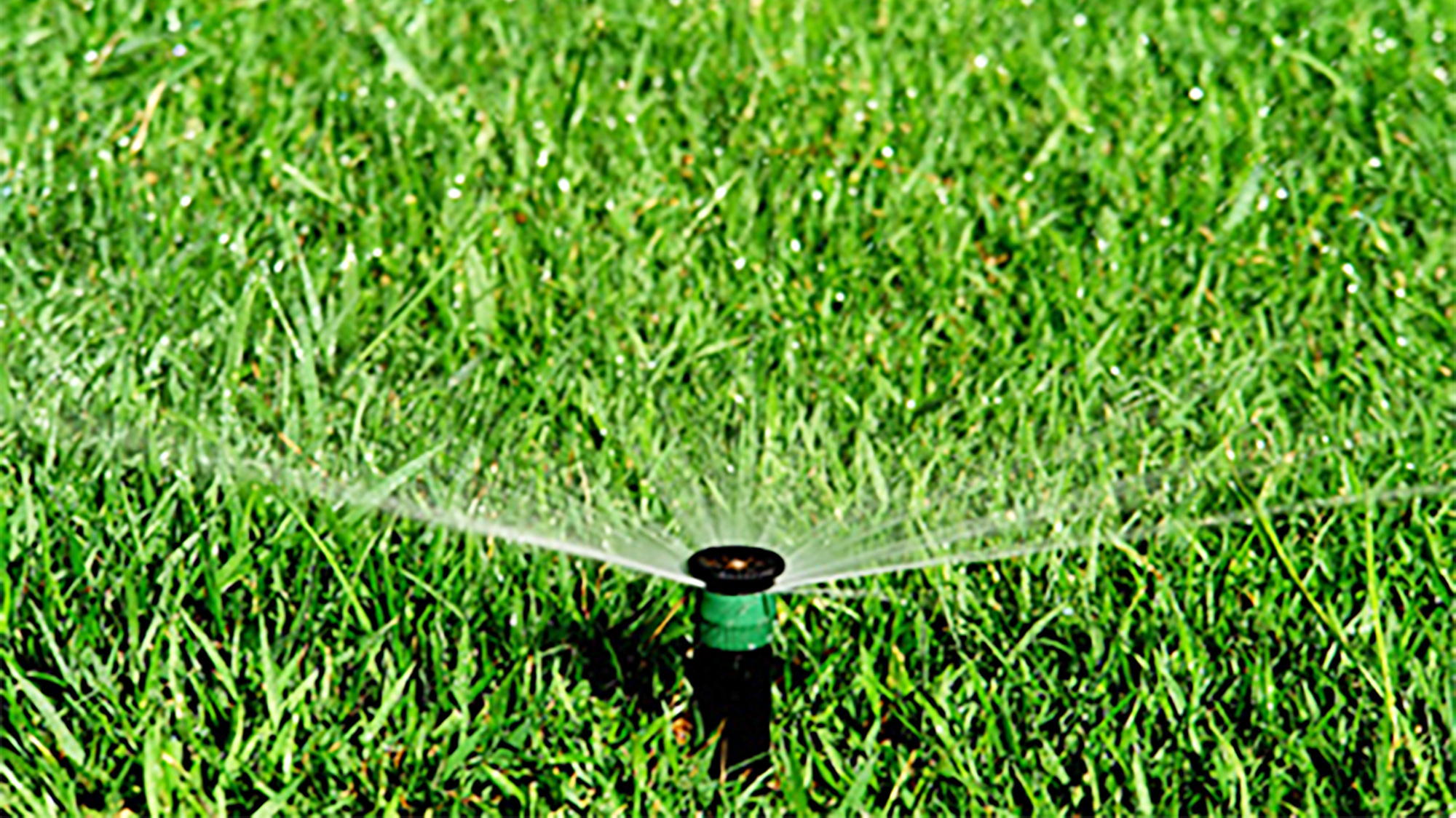 Sprinkler_9x16